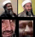 Fake Osama Ben Laden