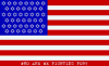 USA zionflag