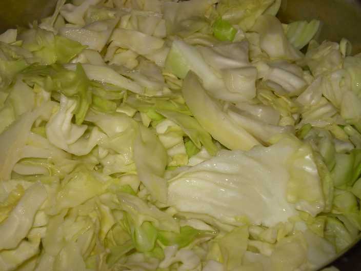 fresh standard cabbage