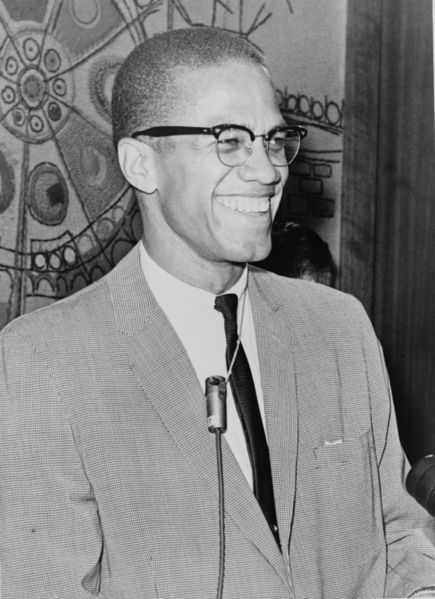 Malcolm X Exposed!